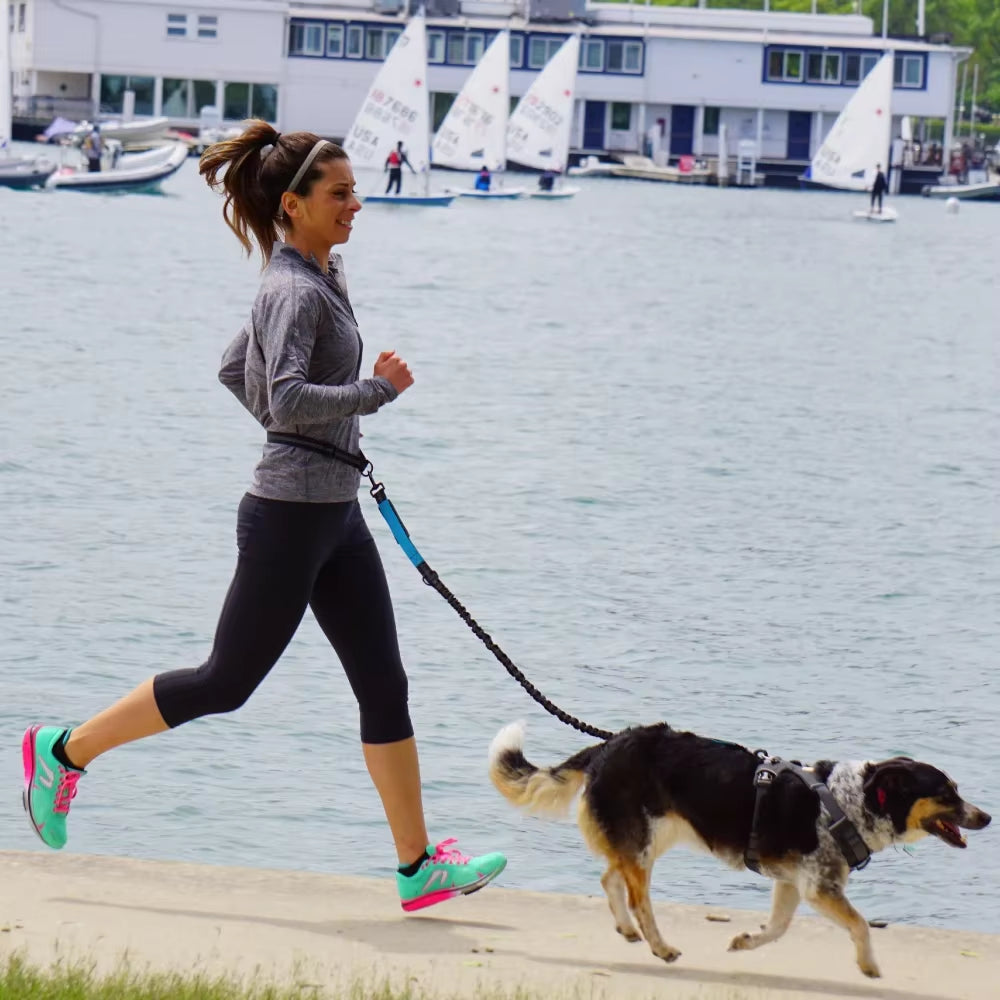 Correa manos libres para perro — Cinturón ajustable + correa elástica 360° (para pasear, correr y jogging)