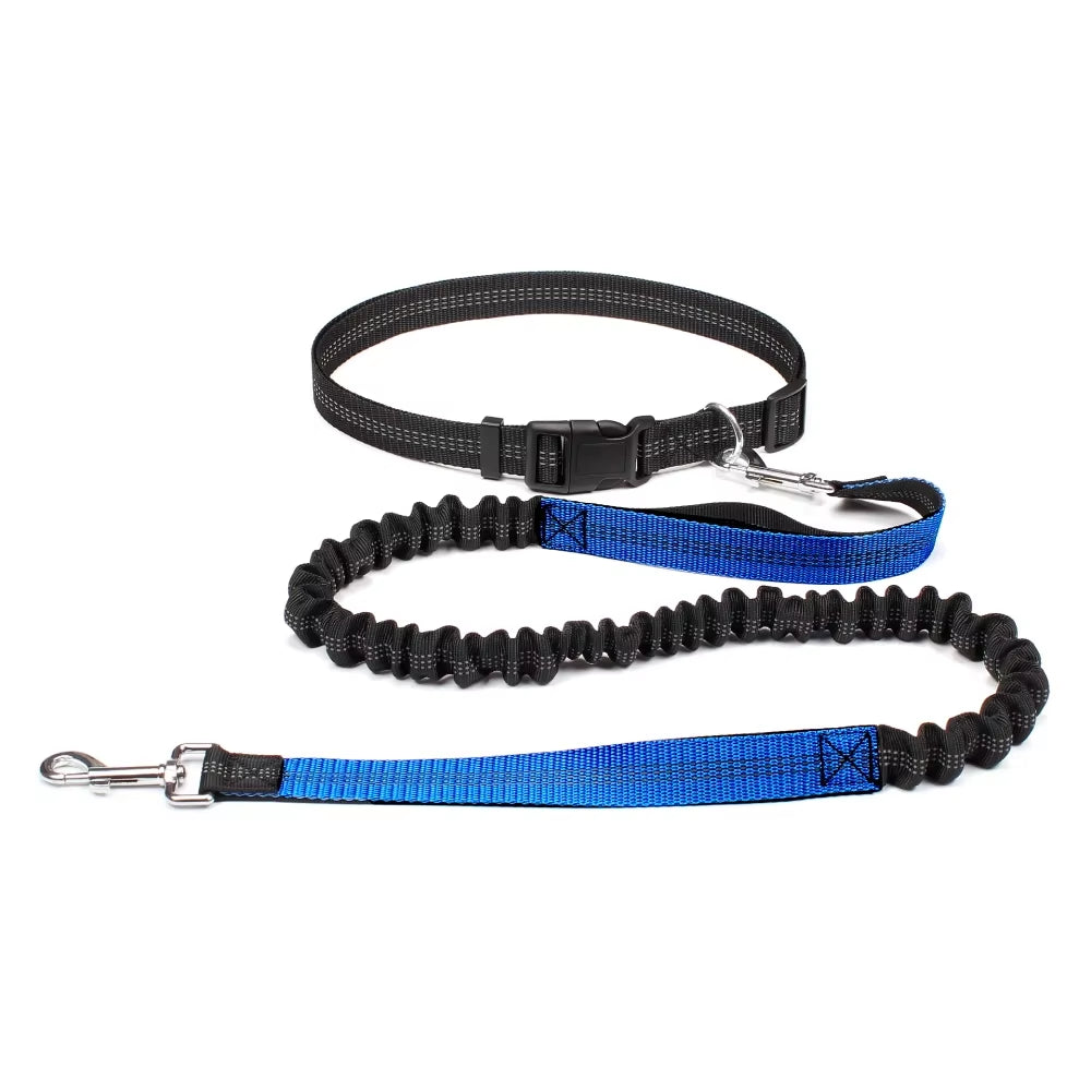 #1F3FF2; Correa manos libres para perro — Cinturón ajustable + correa elástica 360° (para pasear, correr y jogging)
