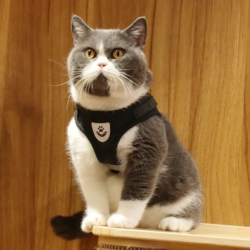 Harness and leash for cats and small dogs — Reflective anti-escape mesh vest (XS-XL)