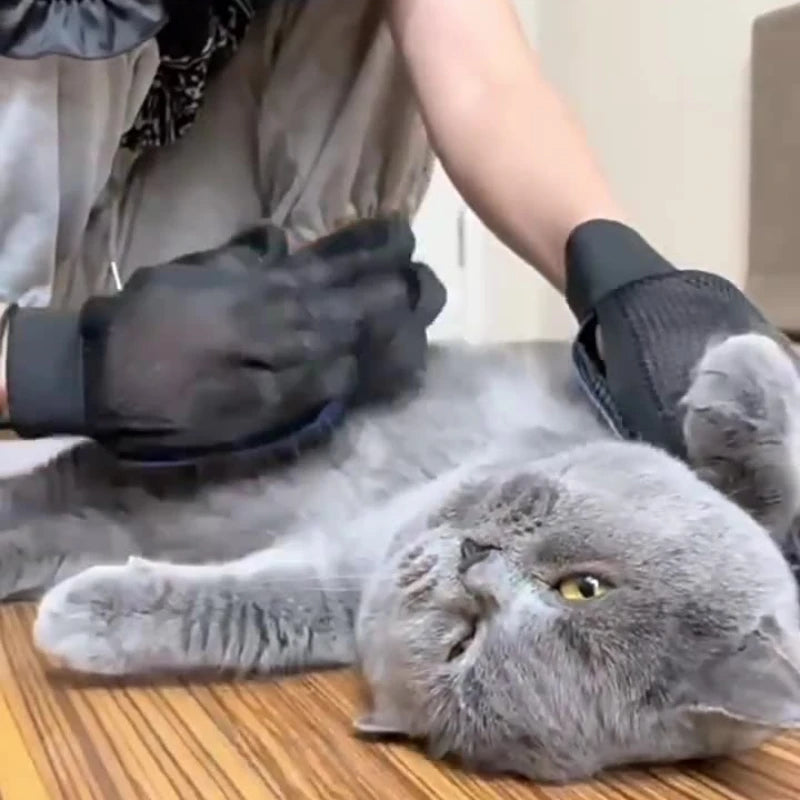 Guantes de Aseo para Mascotas 🐶🐱 | Cepillo de Silicona para Perros y Gatos – Masaje, Limpieza y Quita Pelos