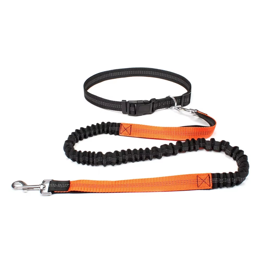 #FF9E17; Correa manos libres para perro — Cinturón ajustable + correa elástica 360° (para pasear, correr y jogging)