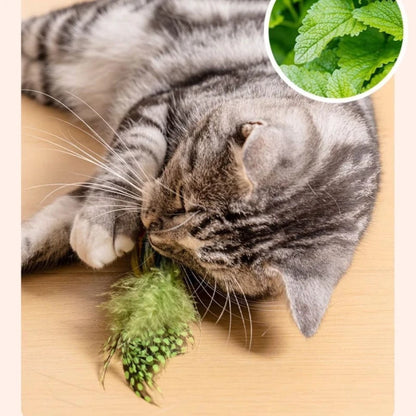 Interactive cat toy — Bird with sound and built-in catnip 🐦🌿