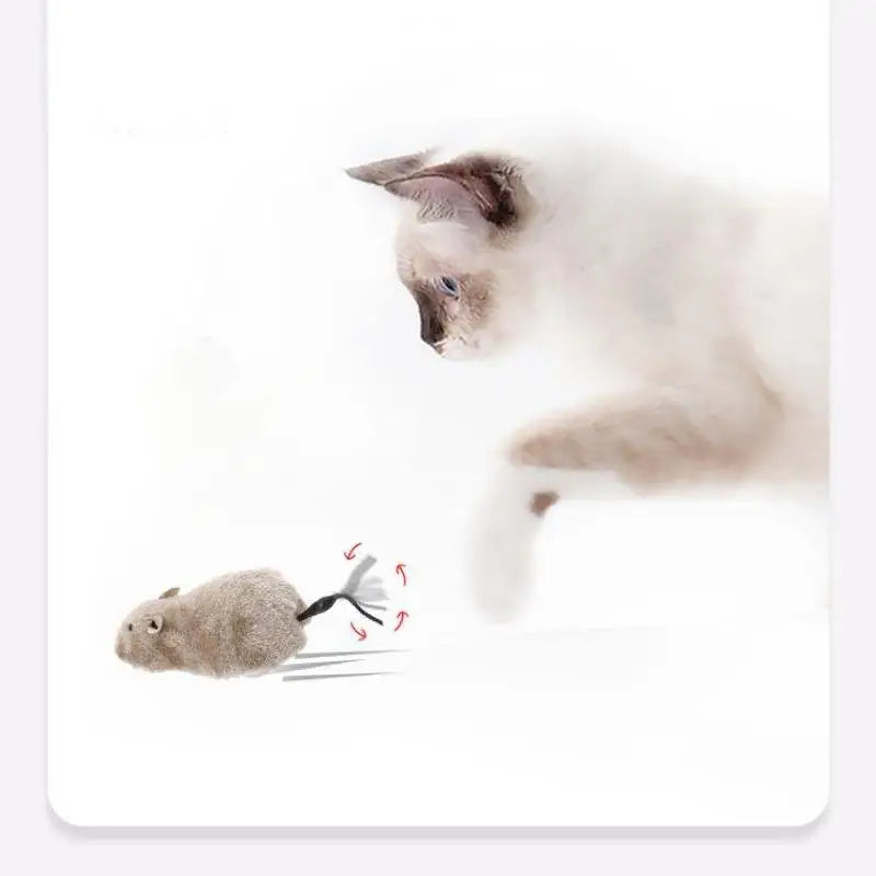 Interactive plush mouse for cats — realistic battery-free toy 🐭