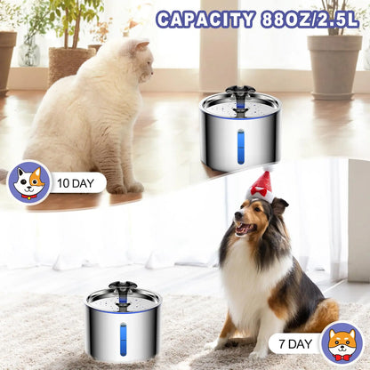 Fuente de agua automática de acero inoxidable 2,5 L para gatos y perros 🐱🐶 | Silenciosa, LED y con filtración de 4 capas