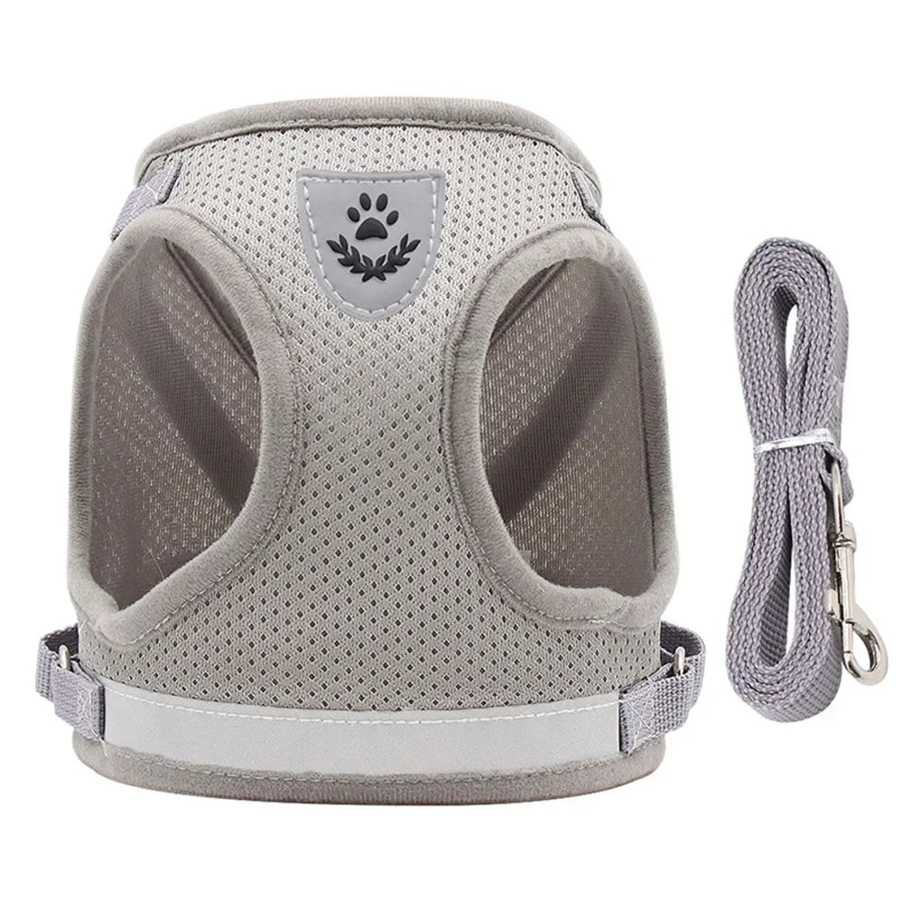 Harness and leash for cats and small dogs — Reflective anti-escape mesh vest (XS-XL)