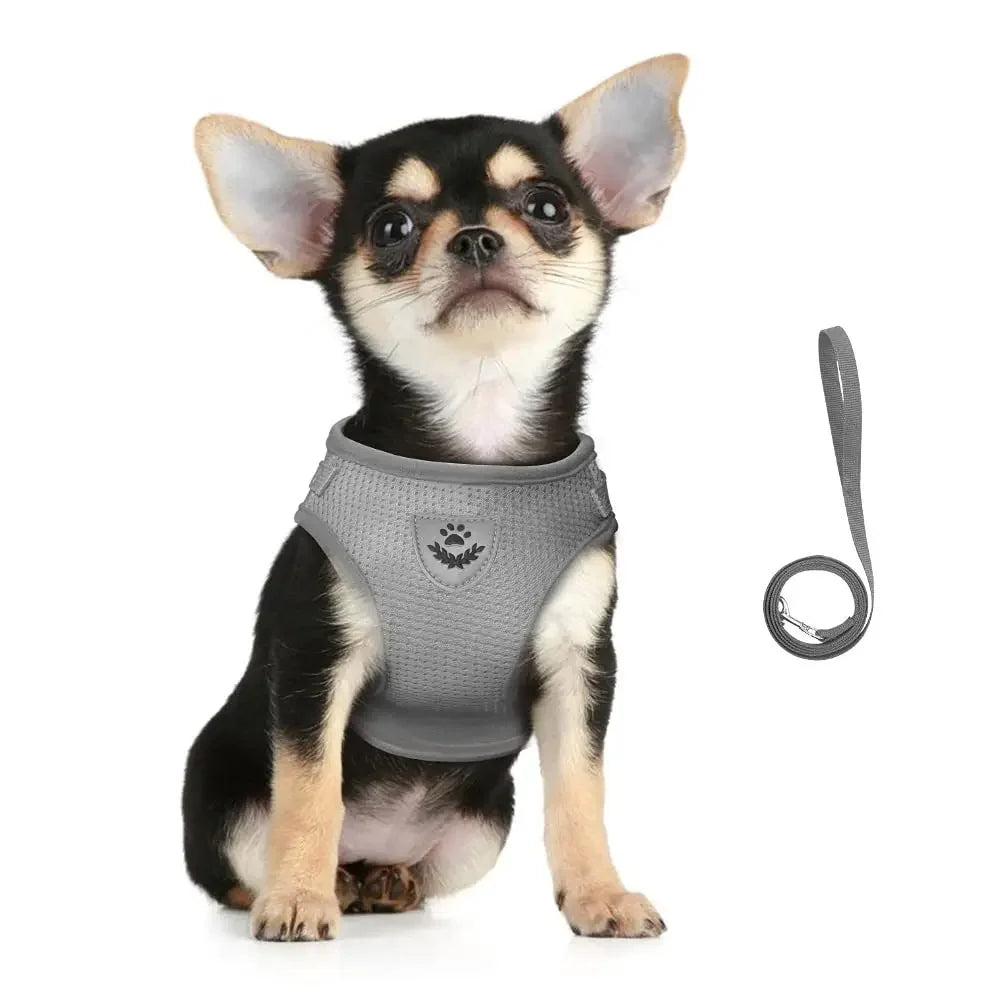 Harness and leash for cats and small dogs — Reflective anti-escape mesh vest (XS-XL)