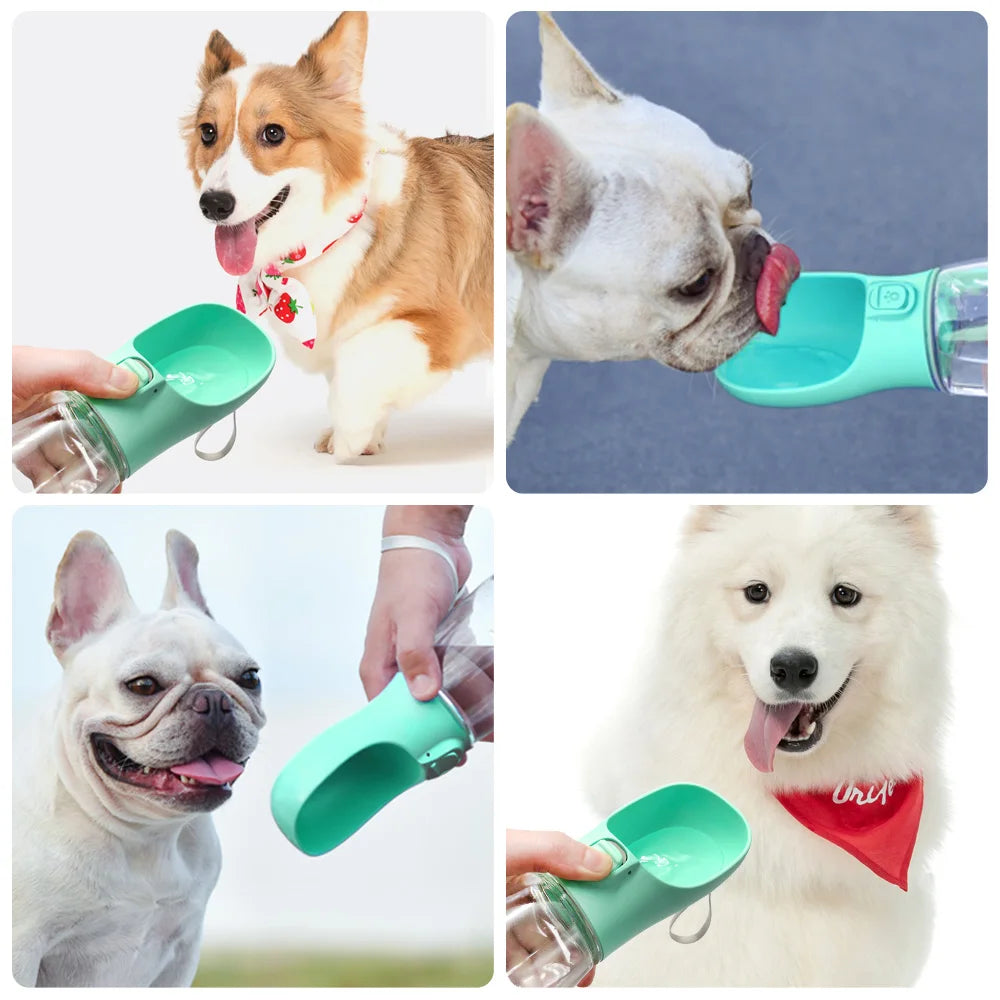 Portable water bottle for dogs and cats — dispenser 300/350/550 ml 🐶💧 
