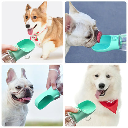 Portable water bottle for dogs and cats — dispenser 300/350/550 ml 🐶💧 