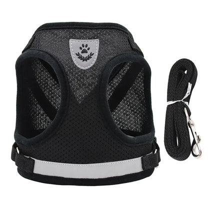 Harness and leash for cats and small dogs — Reflective anti-escape mesh vest (XS-XL)