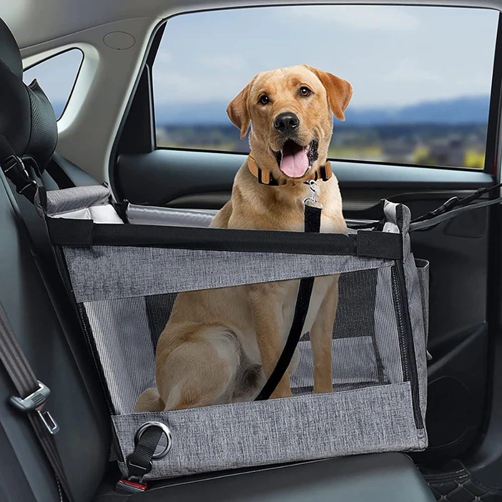 #BDBDBD; — Asiento de coche gris portador de mascotas con cojín con perro atado dentro.
