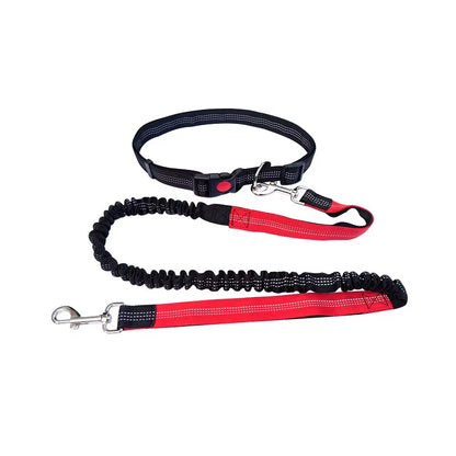 #ED3B3B; Correa manos libres para perro — Cinturón ajustable + correa elástica 360° (para pasear, correr y jogging)