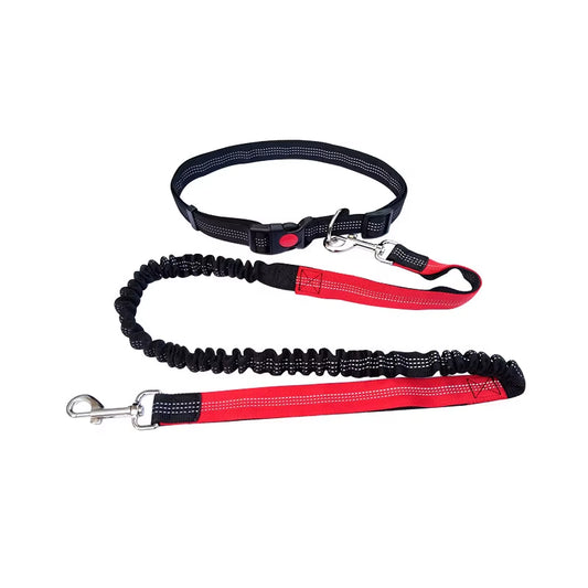 #ED3B3B; Correa manos libres para perro — Cinturón ajustable + correa elástica 360° (para pasear, correr y jogging)