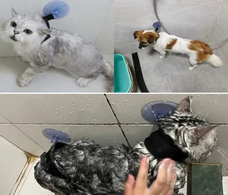 Gatos y perros en los collares de sujeción de baño con ventosa para mascotas.