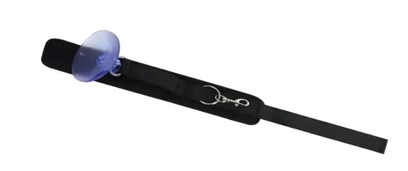 Collar de sujeción de baño con ventosa para gatos y perros.