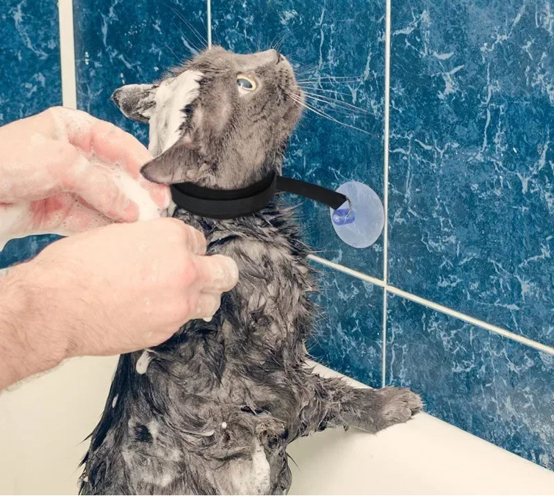 Lavando a gato con el collar de sujeción de baño con ventosa para mascotas.