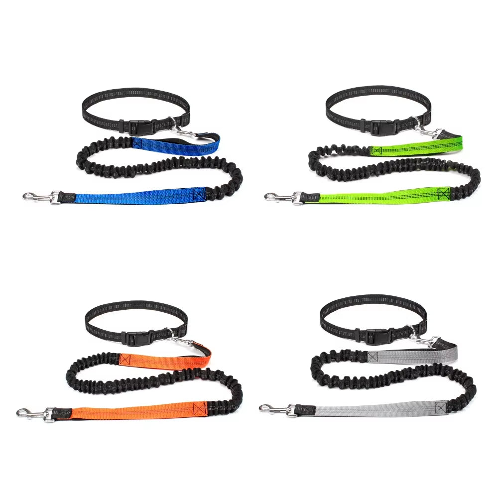 Correa manos libres para perro — Cinturón ajustable + correa elástica 360° (para pasear, correr y jogging). Colores: Azul, Verde, Naranja, Gris