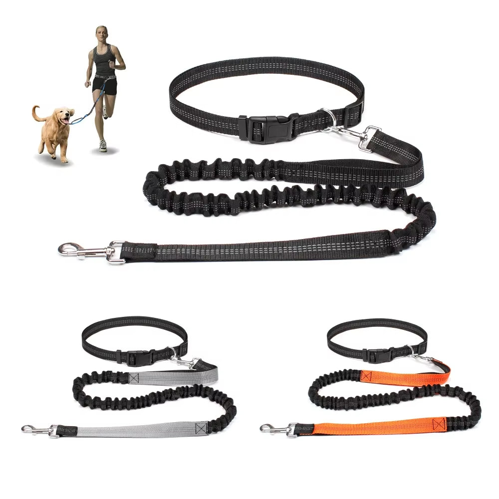 Correa manos libres para perro — Cinturón ajustable + correa elástica 360° (para pasear, correr y jogging). Colores: Negro, Gris, Naranja.