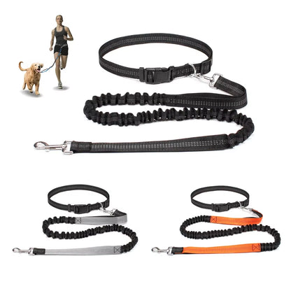 Correa manos libres para perro — Cinturón ajustable + correa elástica 360° (para pasear, correr y jogging). Colores: Negro, Gris, Naranja.