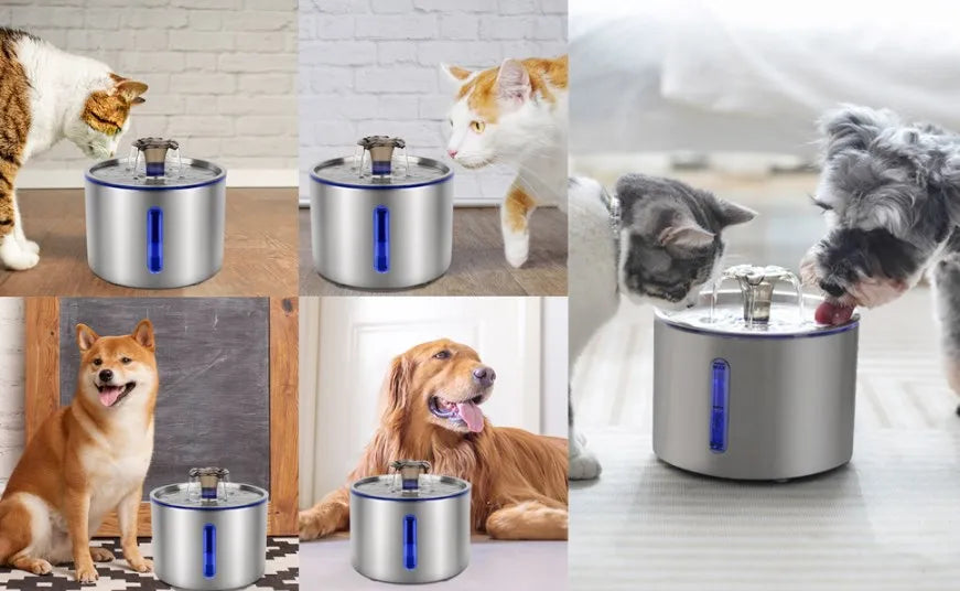 Varios perros y gatos bebiendo o junto a la fuente de agua automática de acero inoxidable para mascotas.