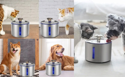 Varios perros y gatos bebiendo o junto a la fuente de agua automática de acero inoxidable para mascotas.