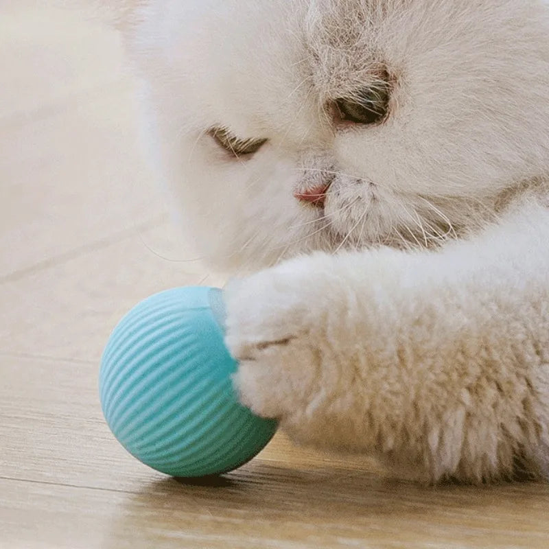 Gato jugando con bola interactiva automática
